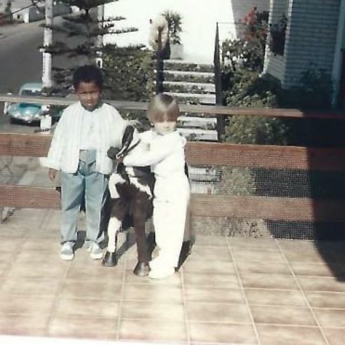 Pinhal, Meu Primo e as Memórias que nos moldam